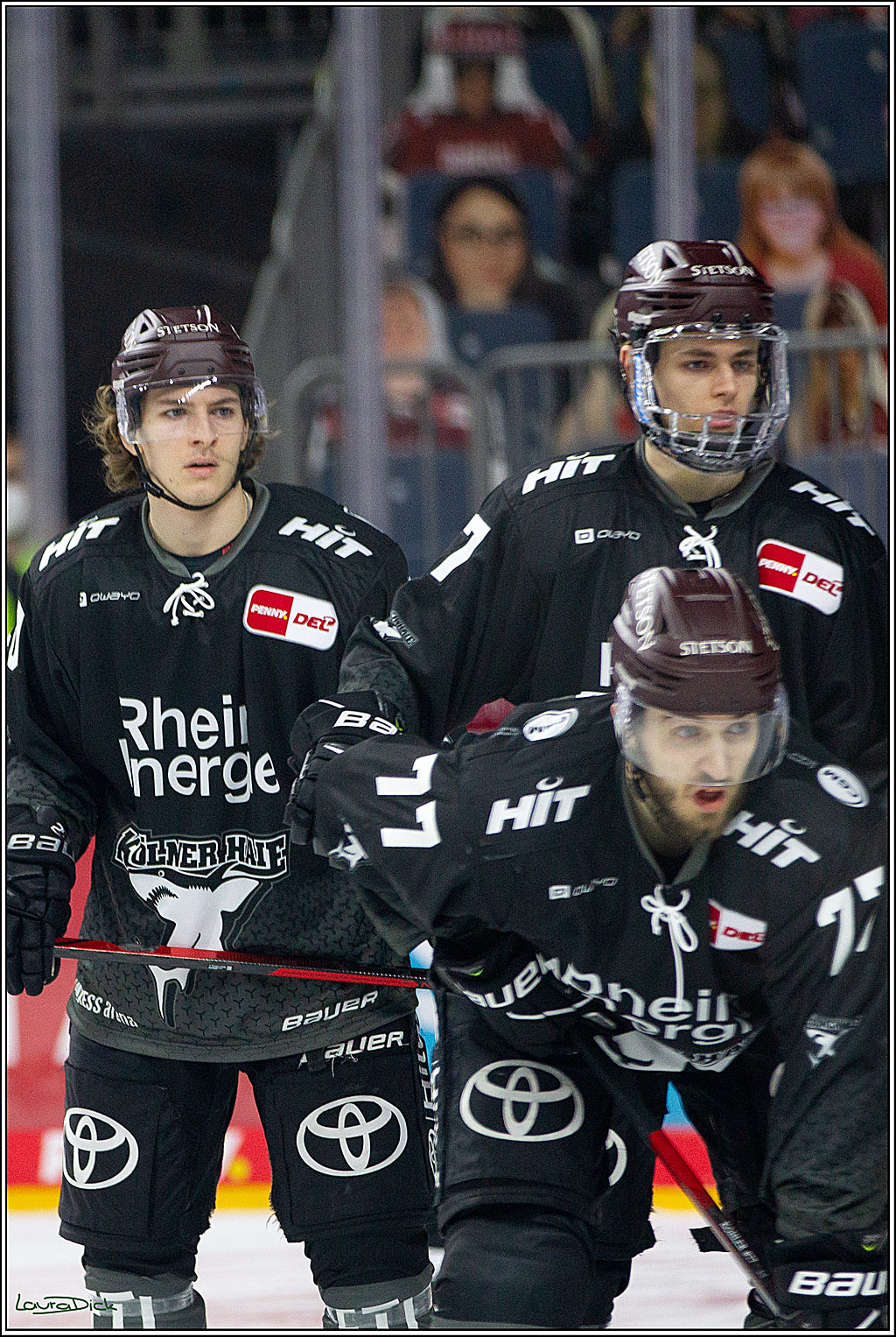 PENNY DEL;  Koelner Haie - Wolfsburg Grizzlys; Koeln, 17.03.2021